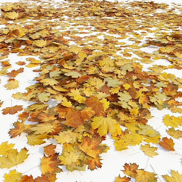 Other decorative objects / Miscellaneous 1