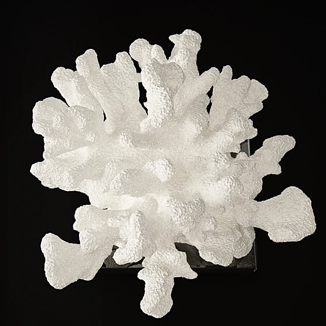 Ensemble décoratif 2